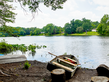 Lake